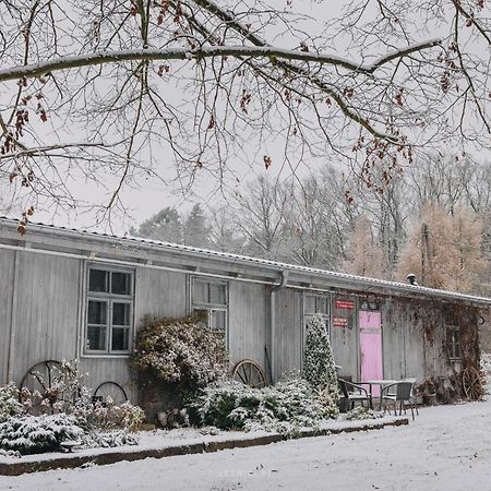 Lesniki Lägenhet Babimost Exteriör bild