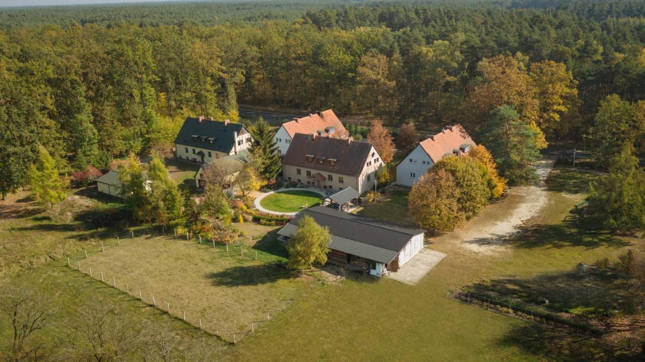Lesniki Lägenhet Babimost Exteriör bild
